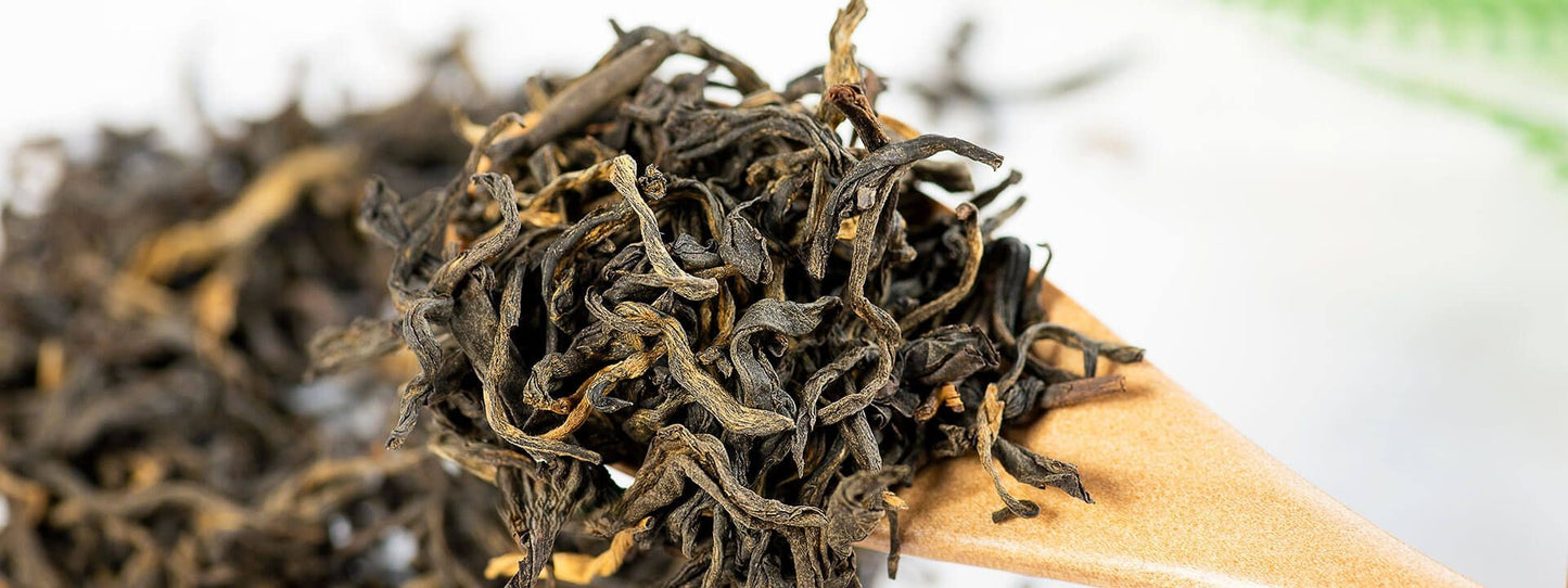 Yunnan Dian Hong Ancient Tree Black Tea| Luxury Gift Set